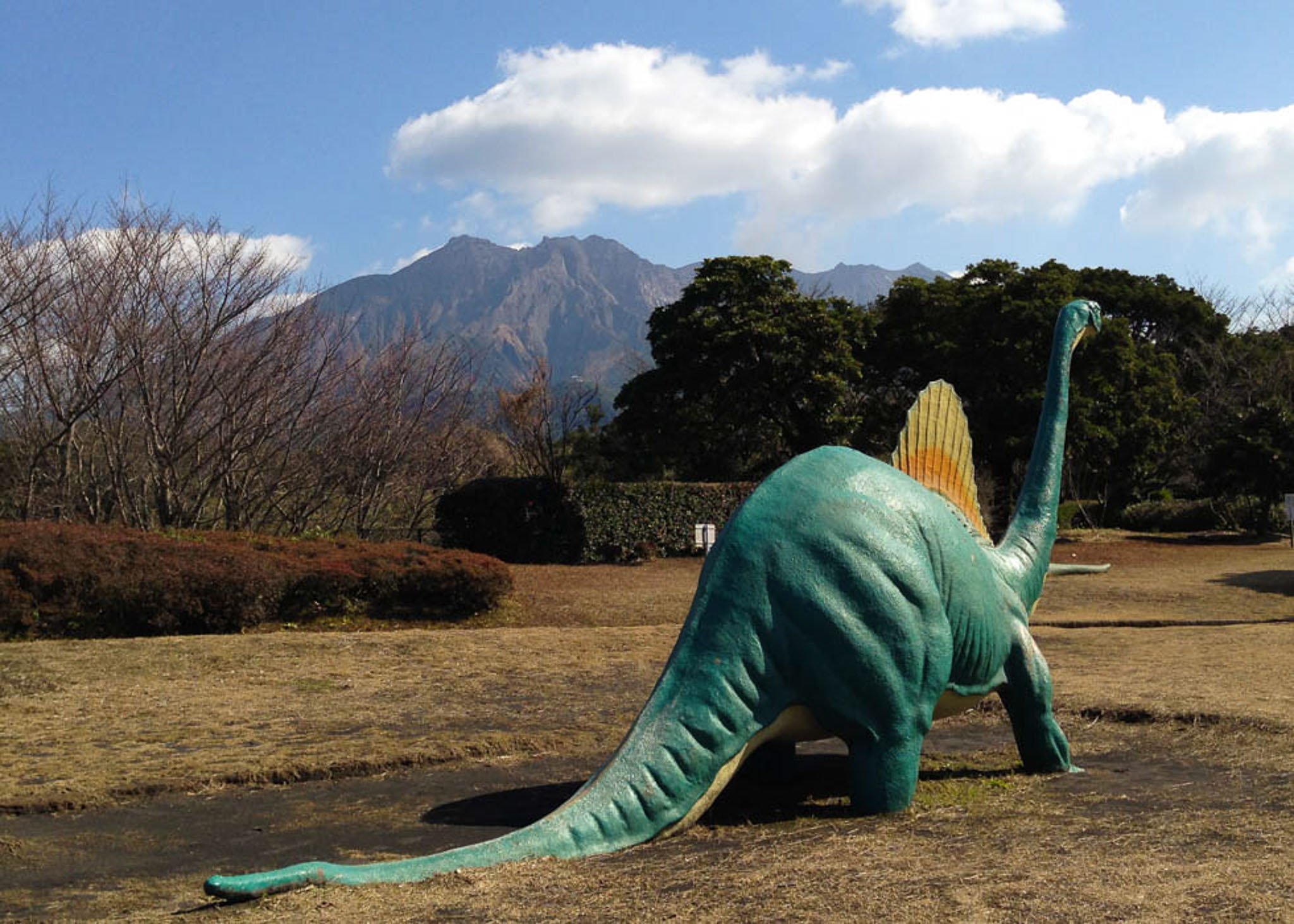 🦖 사쿠라지마 자연공룡 공원(사쿠라지마 시젠 쿄류 코엔) 이미지 2